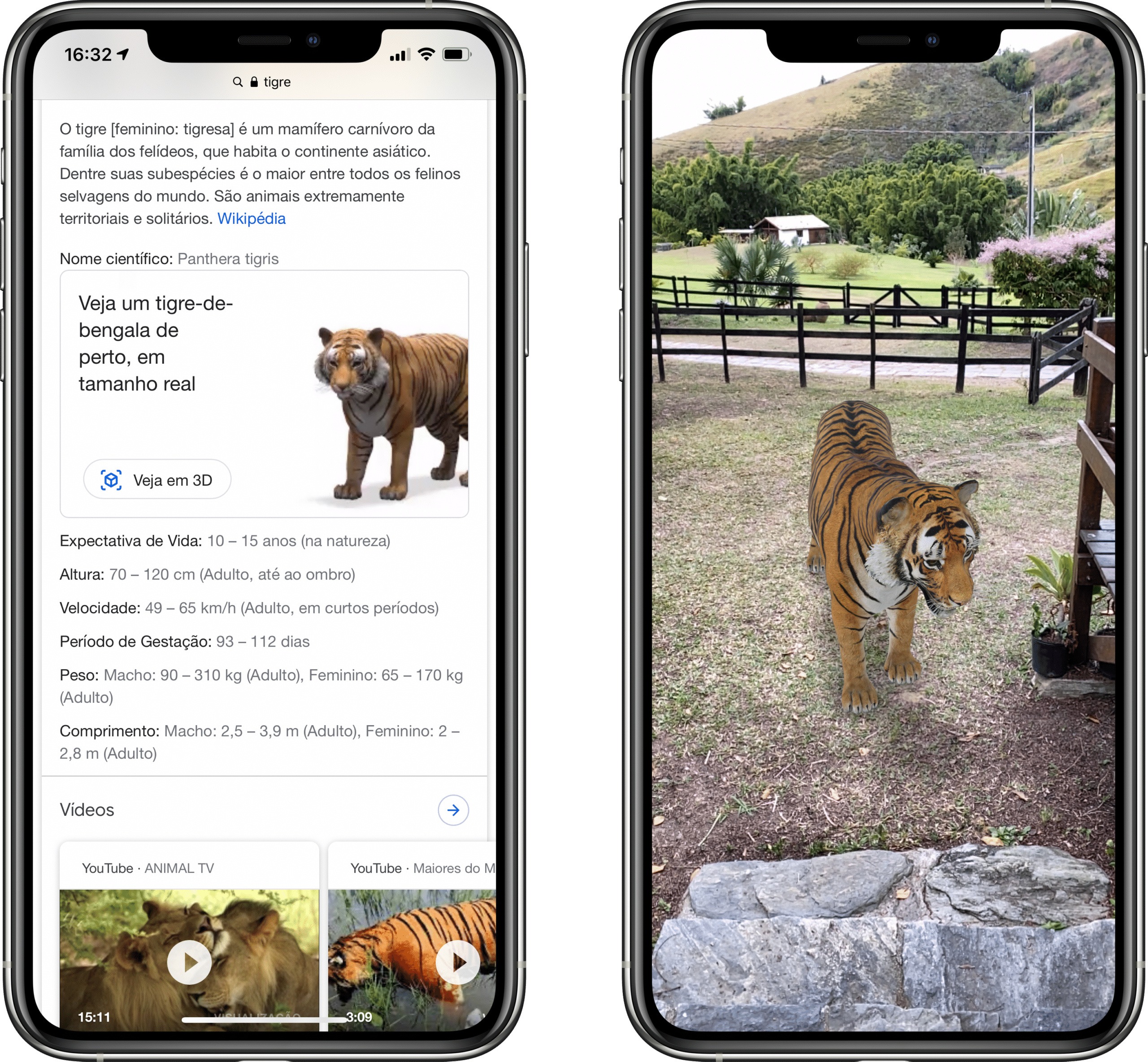 Como encontrar animais em 3D pelo Google e tirar fotos divertidas